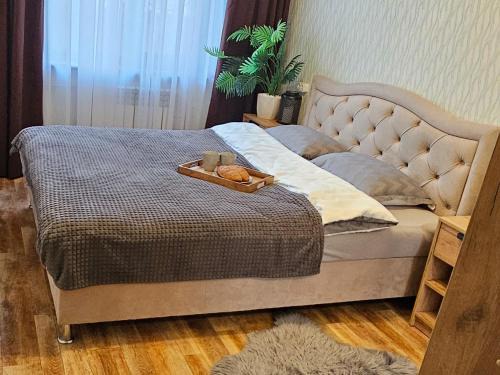 Krivoy Rog Apartamento | Комфортні апартаменти на Гетьманській 74, Святогеоргієвській 15