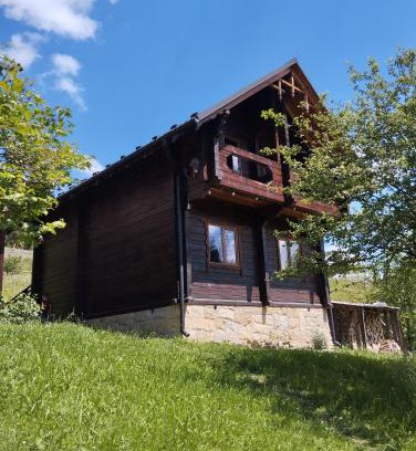 Palyanytsya Apartamento | Котедж Славний гуцул & СПА чани джакузі