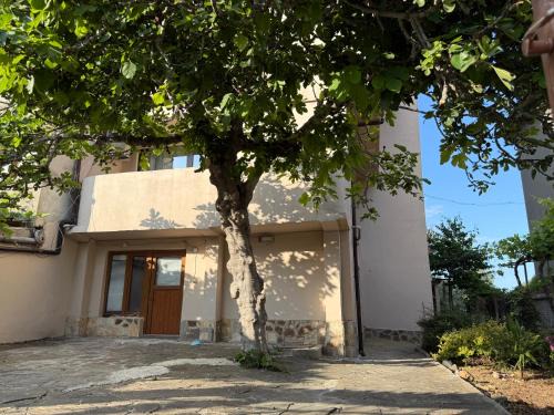 Akhtopol Casa | Къща за Гости Морска звезда