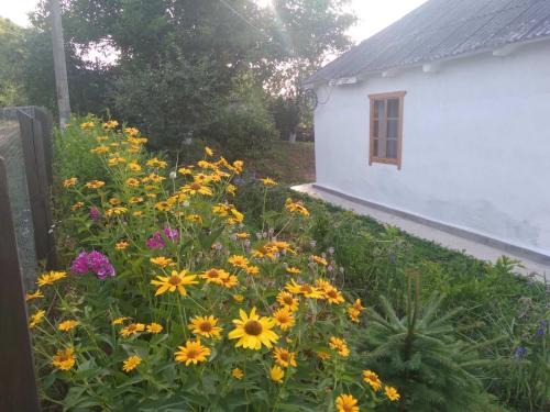 Kiev Oblast Casa | Соколине Гніздо