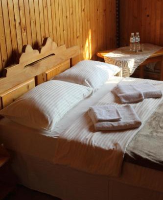 Dilyatyn Hotel | Трембіта