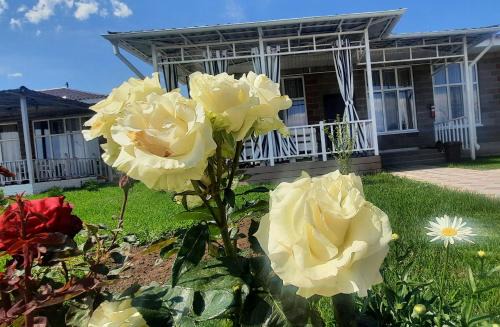 Issyk-Kul Region Casa | Уютный коттедж на берегу Иссык-Куля, Киргизия