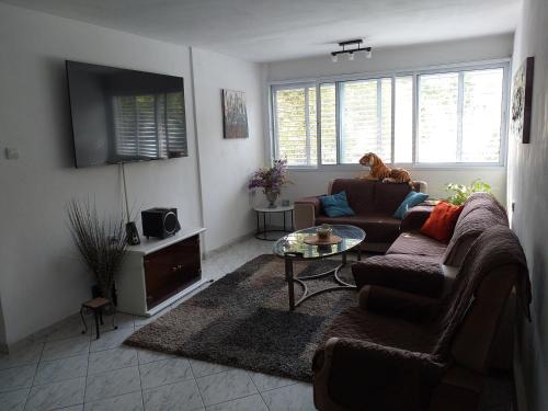 Kiryat Bialik Apartamento | דירת 80 מ"ר למשפחה או זוג
