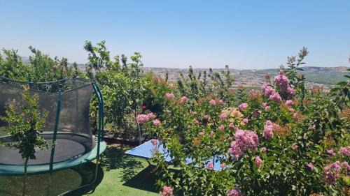 Buq'ata Apartamento | נוף הכפר - 6 חדרי אירוח לזוגות ומשפחות עם ג'קוזי משותף