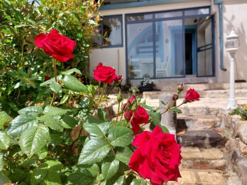 Rosh Pinna Apartamento | פינה שקטה בראש פינה העתיקה Quite Corner in old Rosh-Pina
