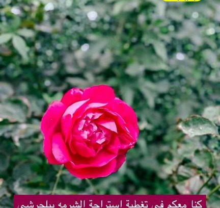 Baljurashi Chalet De Esquí | استراحة الشرمه ببلجرشي