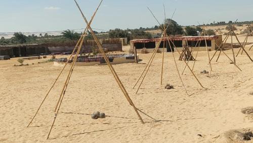 Al Fayoum Otro | مخيم وادى الحيتان بالفيوم