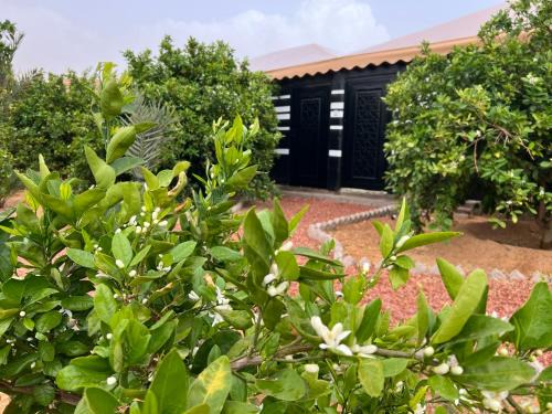 Western Province Apartamento | مزرعةبرتقالOrange farm