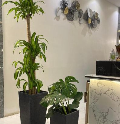 Al Duwadimi Apartamento | نوفل للشقق المخدومة