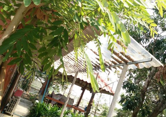 Mueang Nga Casa | ต้งโฮมหละปูน