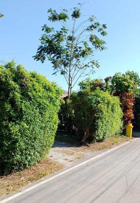 Samut Sakhon Casa | บ้านสโนว์เขาค้อ