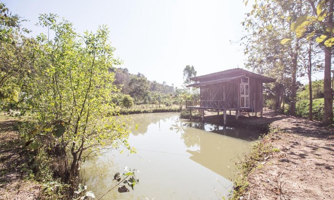 Mae Taeng Casa | บ้านเพื่อน อยู่ในป่า - Friend's house Homestay Mae Tang