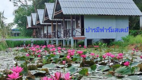 Takua Pa Casa | ปารมีฟาร์มสเตย์