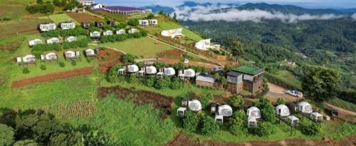 Mae Rim Otro | ม่อนหมอกฟ้า ม่อนแจ่ม