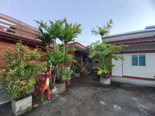 San Pong Casa | ริมทุ่งโฮมสเตย์