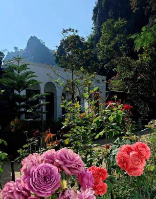 Chiang Dao Casa | วีรพัชนารา