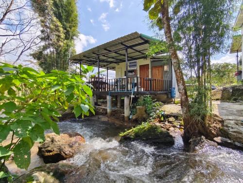 Chom Thong Casa | อินทนนท์ บ้านพักเล่าจู Inthanon Laoju House