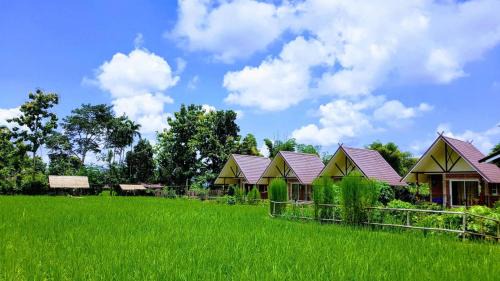 Pua Casa | ฮ้างนาตาจันทร์