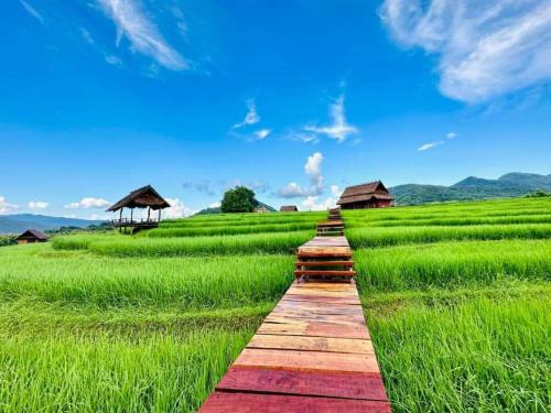 Luang Prabang Casa | ເຂົ້າໜຽວຟາມສະເຕ-Kao Niaw Farmstay
