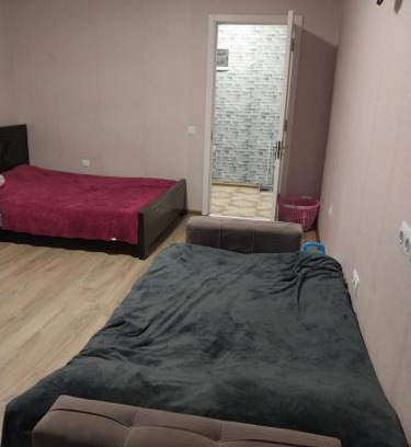 Tbilisi Apartamento | დირსი