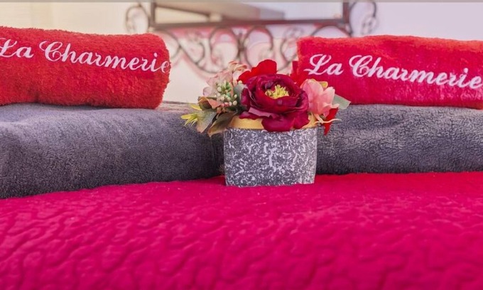 Les Grands Carmes Apartamento | ღ CHARMERIE Air-conditioned duplex 5min from Vieux Port