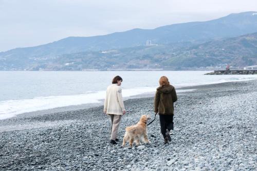 Odawara Apartamento | いぬと海辺