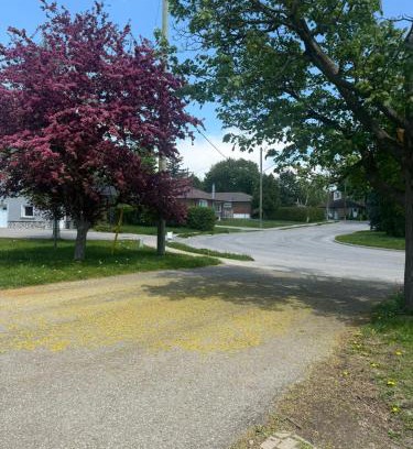 Richmond Hill Casa | 多伦多美丽房间- Great Location