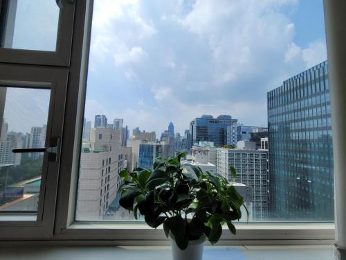 Yeoksam Apartamento | 강남 선릉역 도보1분 Full option Sky Lounge 16F