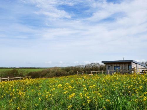 Bude Casa | 1 Bed in Bude 88499