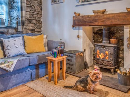 Llanaelhaearn Casa | 1 bed property in Trefor Beach 77891