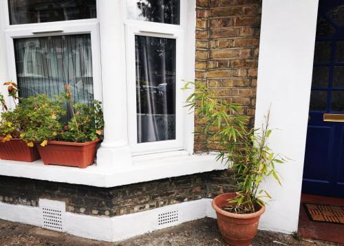 Dulwich Apartamento | 1-Bed victorian gf Apartment in London