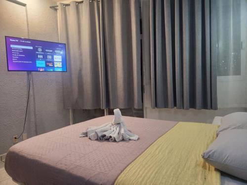 Lázaro Cárdenas Apartamento | 1 BR APT with AC , TV , wi-fi near DT and beach