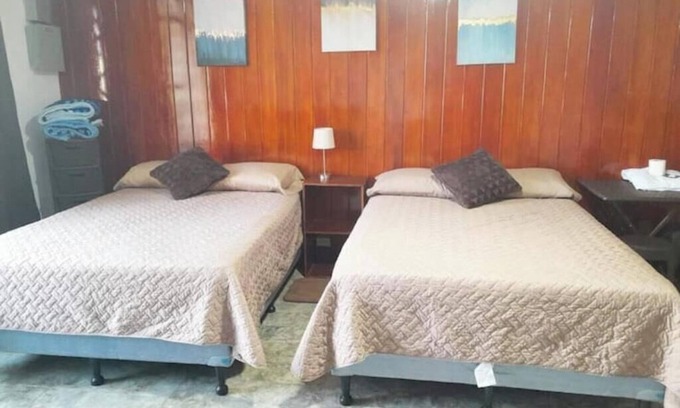 Zona 5 Apartamento | 1 Comfy Dual: Convenience & Comfort Galore & 2 Nice and comfortable central apt