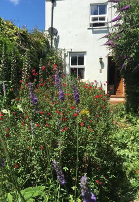Dawlish Cama Y Desayuno | 1 Laurel Cottages