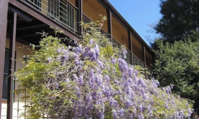 Mariposa Apartamento | #10 1938 Historic Downtown Apt - King Bed- Kitchen