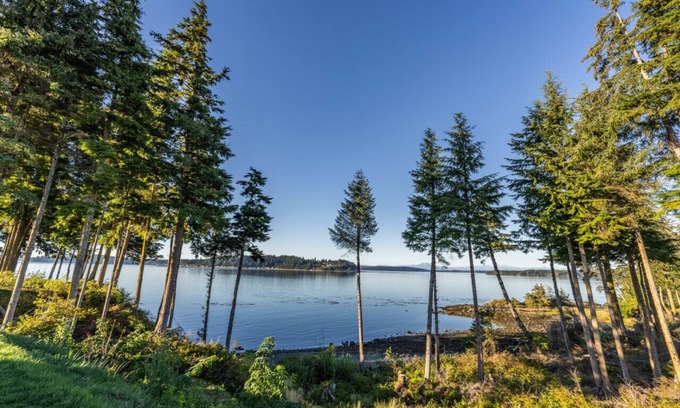 Regional District of Mount Waddington Cabaña | 10 - Blackfish Cottage By The Sea at Alder Bay
