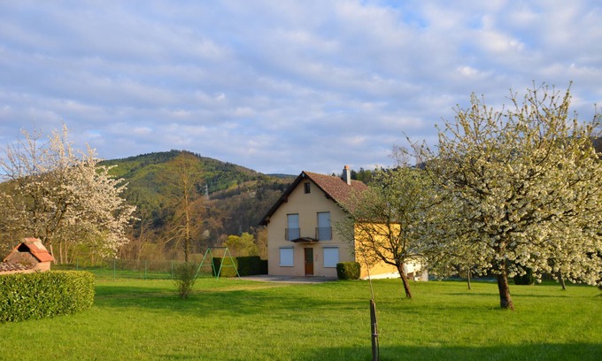 La Vancelle Casa | 10 'de la montaña de los monos - águilas voladoras - castillo Haut-Koenigsbourg