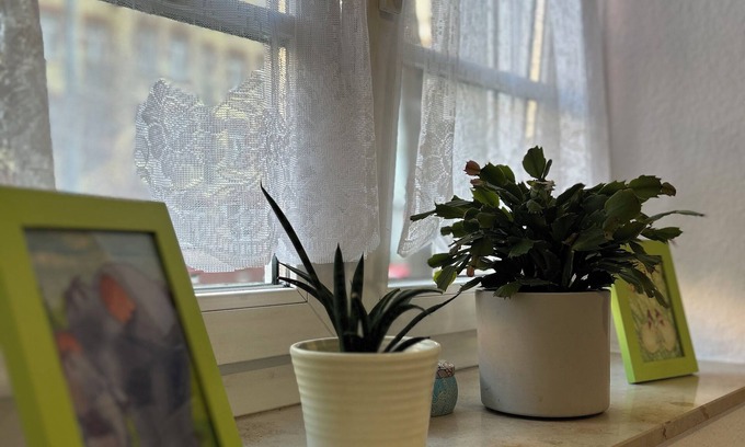 Erfurt Apartamento | 10 min walk to the center, 47m2,Netflix& all amenities!