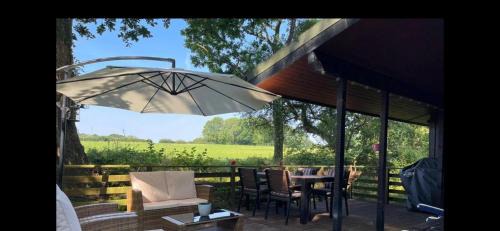 Cenarth Casa | 11 Tan-y-coed Woodland Lodge