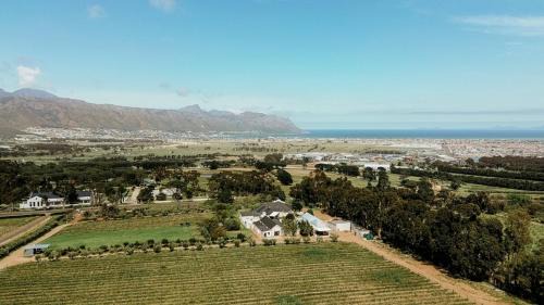 Helderberg Rural Casa | 13 Olives, Entire Grape & Olive Estate, Somerset West by Euphoric Leisure