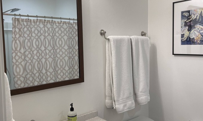 Neenah Apartamento | 15 minutes to EAA. Newly renovated, Luxury 1 Bedroom in historic downtown Neenah