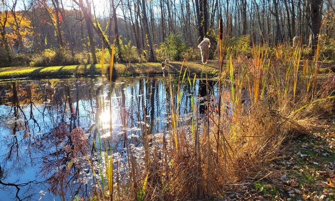 Rhinebeck Cabaña | 15% off; private pond; fireplace; 4-min to village