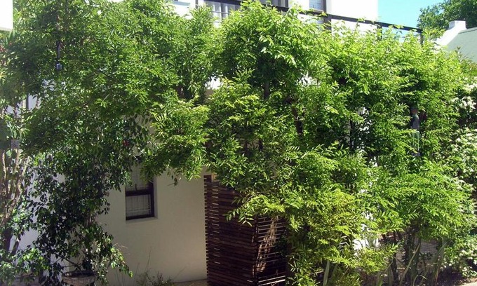 Die Boord Apartamento | 16 Rhodes-North Self Catering Apartment & Studio