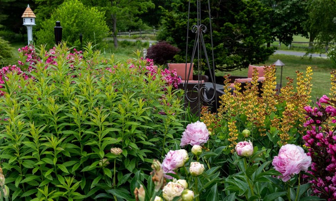 Kennebunkport Cama Y Desayuno | 1802 House Bed and Breakfast