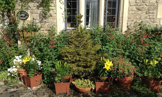 Bradford-on-Avon Cama Y Desayuno | 189 April Cottage