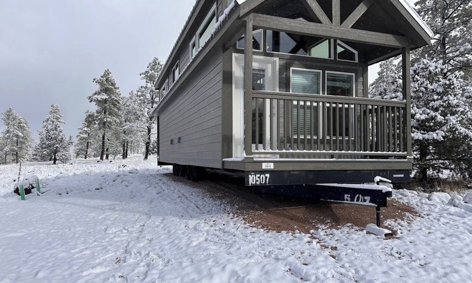 Williams Chalet De Esquí | 1B Cozy chalet with 1 bedroom, AC, WiFi and forest view with patio in Williams