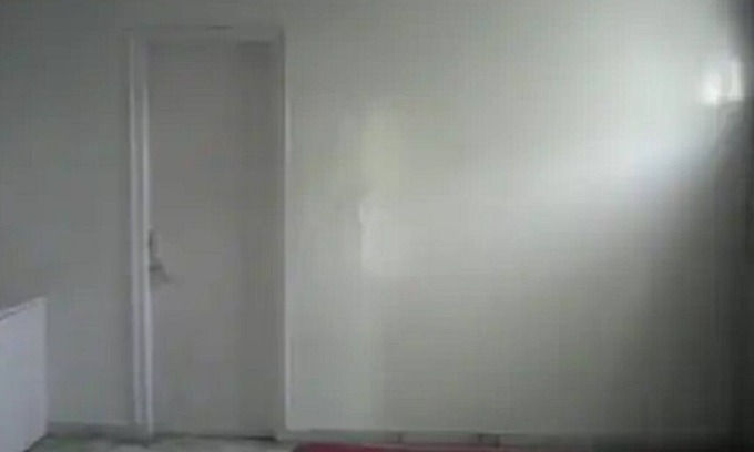 Sainik Farm Casa | 1bedroomapartment-in-south-delhi