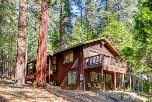 North Wawona Casa | 1S Cecils Cabin