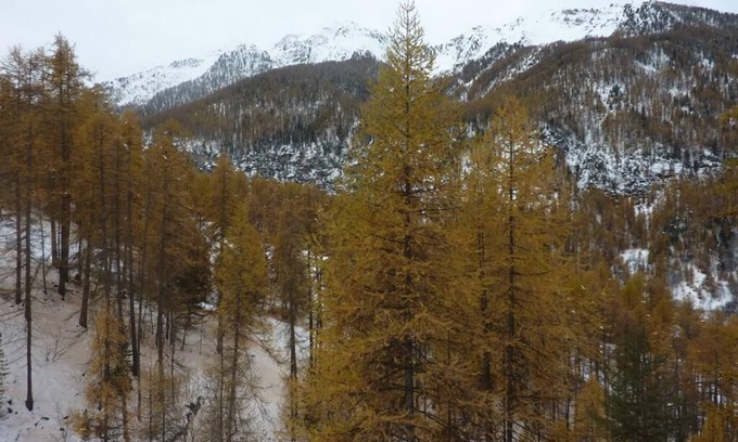 Les Orres Apartamento | 1st floor, balcony, tv, ski locker, 32m², Les Orres