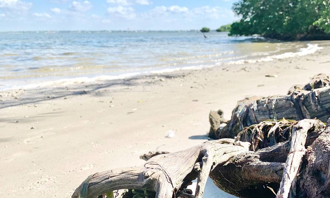 Cortez Casa | 2/2 blocks from the water, bike ride to the beach THE FLORIDIAN